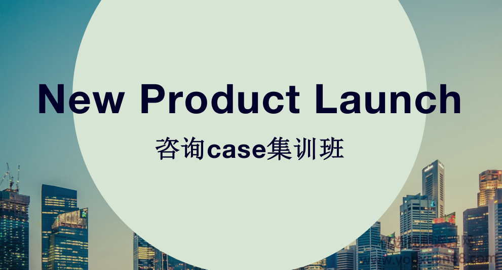 咨询case集训班课程