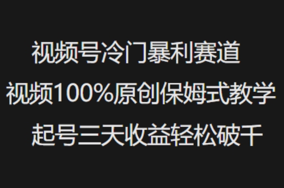 视频号冷门暴利赛道视频100%原创保姆式教学起号三天收益轻松破千【揭秘】